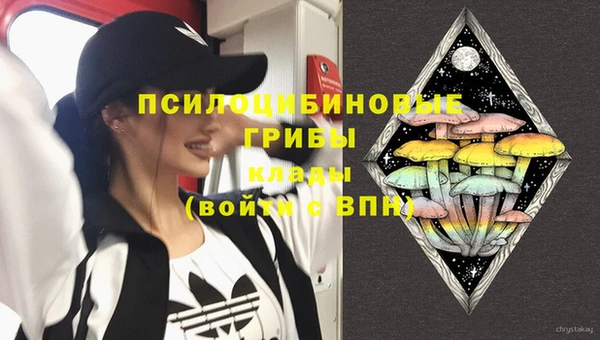 дмт Алексеевка