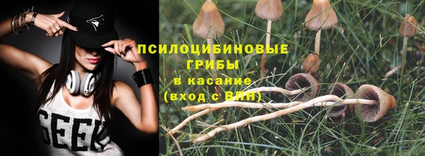 дурь Аркадак