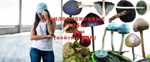 дурь Аркадак