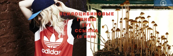 дурь Аркадак